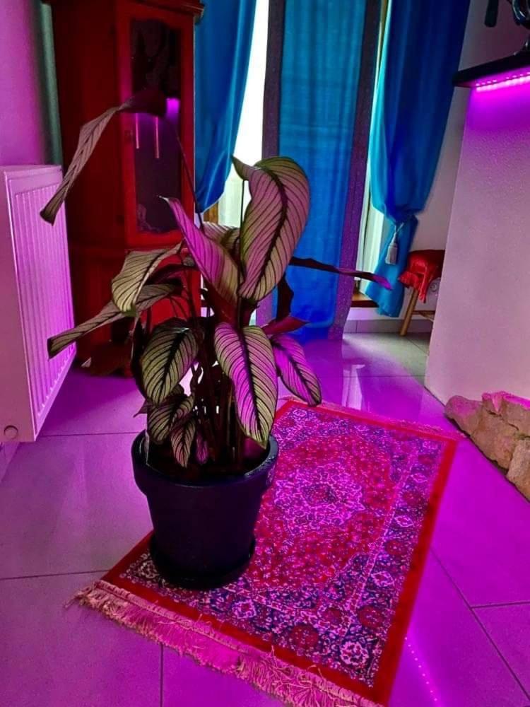 Pensjonat Koliber Sobków エクステリア 写真
